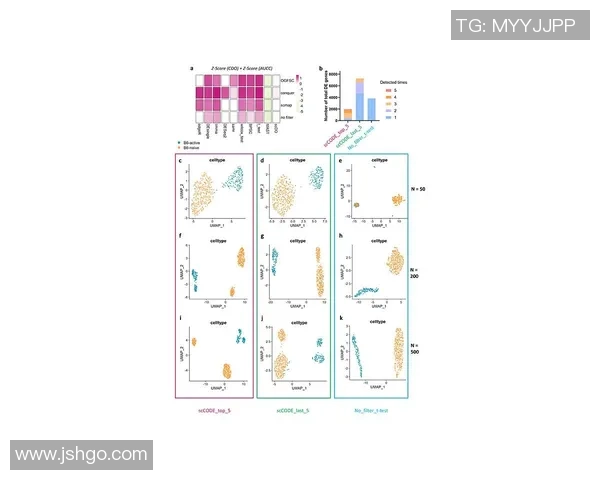 数据分析：杭州排球队的团队协作表现